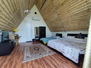 Wildernest - Room