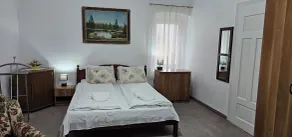 Guesthouse Casa Baciu - Room