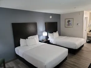 La Quinta Inn by Wyndham Tampa Near Busch Gardens - Chambre