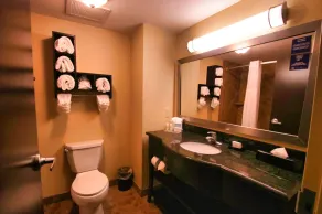 Hampton Inn & Suites Jacksonville - Beach Blvd/Mayo Clinic - Bathroom