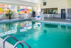 Quality Inn & Suites Ann Arbor Hwy 23 - Piscine