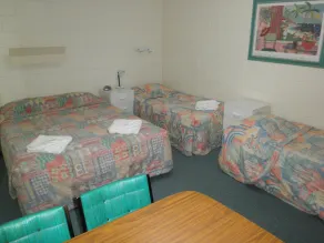 Norfolk Motor Inn - Room
