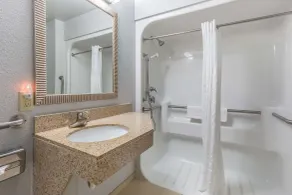 Comfort Inn Alton near I-255 - Baño