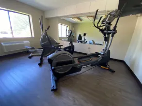 MountainView Lodge and Suites - Salle de remise en forme
