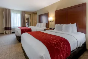 Comfort Suites Billings - Chambre