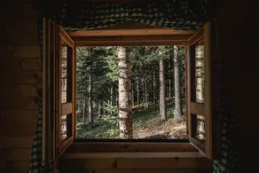 JELA NATURAL RESORT - Udsigt fra værelset