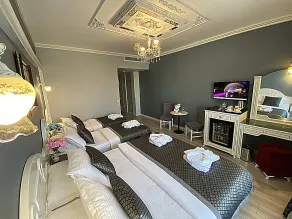 Gülhanepark Hotel & Spa - Room