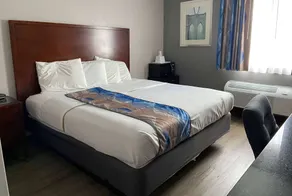 Travelodge Inn & Suites by Wyndham Albany - Room
