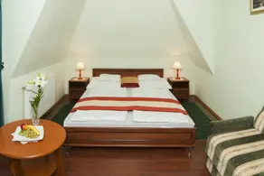 Gosztola Gyöngye-az erdő szállodája - Room