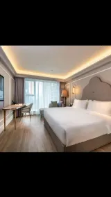 Mercure Wuhan Yangluo - Chambre