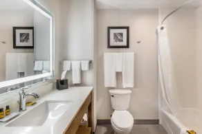 Best Western Plus Rapid City Rushmore - Salle de bain