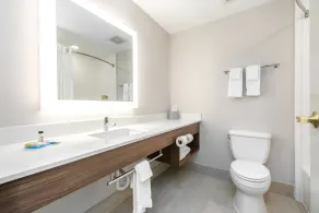 Holiday Inn Express Hotel & Suites Lagrange I-85 by IHG - Salle de bain