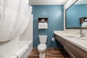 WoodSpring Suites Sanford North I-4 Orlando Area - Salle de bain