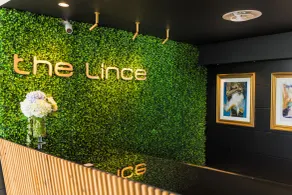 The Lince Azores - Réception