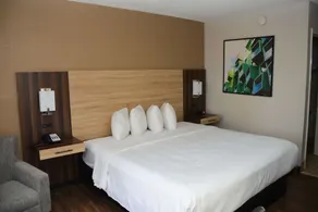 Baymont by Wyndham Santee - Chambre