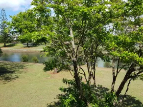 Palm Court Motor Inn - Vistas desde la habitación