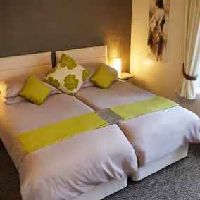 Borthwenbnb - Chambre