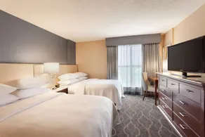 Embassy Suites by Hilton Atlanta Airport - Chambre