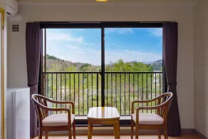 KAMENOI HOTEL Okunikko - View from room