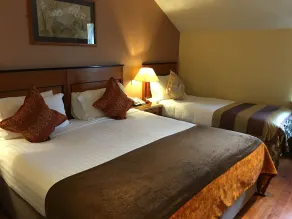 The Fairview Boutique Hotel - Room