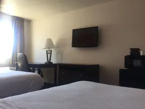 Motel 6-Marion, IL - Chambre