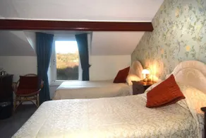 Forest How Guest House - Room