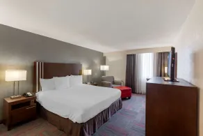 Best Western Plus Toronto Airport Hotel - Chambre