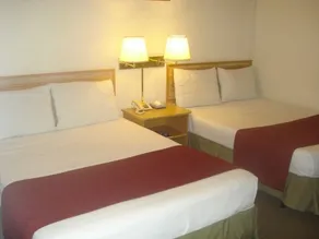Hotel Mediterraneo Plaza - Room