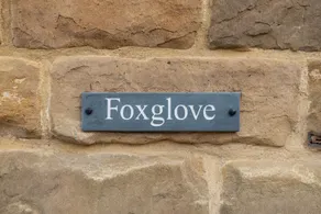 Foxglove - Interiør