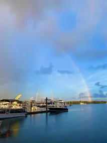 Mangrove Marina and Resort Aqualodge Houseboats - Vue de la chambre