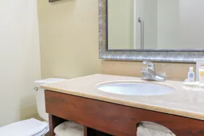 Comfort Inn & Suites at Dollywood Lane - Bathroom