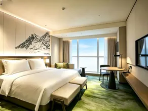 Runda Grand Skylight International Hotel Pingxiang - Room