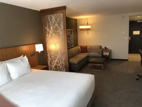Hyatt Place St George/Convention Center - Rom