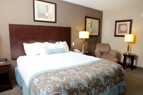 Home2 Suites by Hilton St. Charles St.Louis - Rum