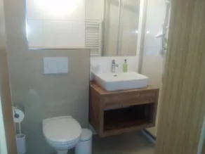Alpenrose Appartements Waidring - Bathroom
