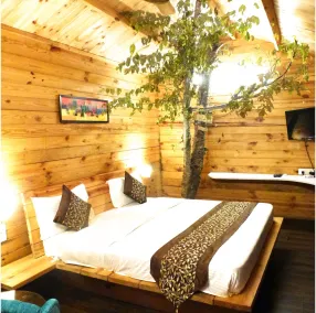 Treehouse Resort - Room