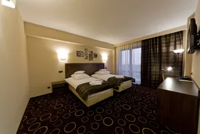 Hotel Zimnik Luksus Natury Spa & Wellness - Værelse