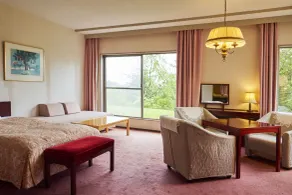Tsumagoi Prince Hotel - Chambre