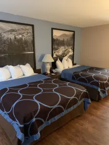 Super 8 by Wyndham Kingston - Chambre