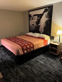 Super 8 Springfield North I-44 - Rum