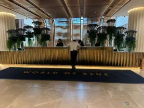 The World Of Blue - Reception