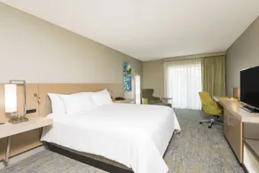 Hilton Garden Inn Grand Rapids East - Chambre
