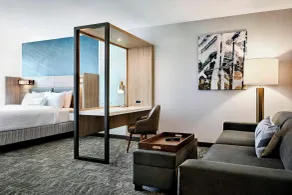 SpringHill Suites by Marriott Braselton - Chambre