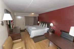 Red Roof Inn PLUS+ University at Buffalo - Amherst - Chambre
