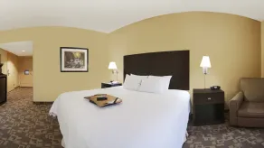 Hampton Inn & Suites-Knoxville/North I-75 - Chambre