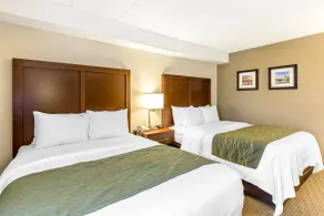 Comfort Inn Shady Grove - Gaithersburg - Rockville - Room