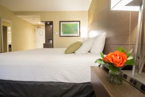 Victoria Inn Hotel and Convention Center Winnipeg - Chambre