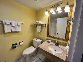 Countryside Suites Kansas City Independence I-70 East Sports Complex Hotel - Salle de bain