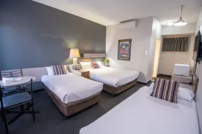 The Midcity Motor Lodge - Room