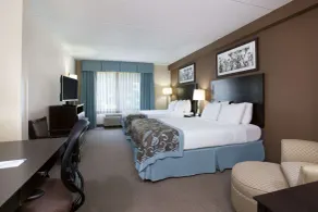 Wingate by Wyndham Garner/Raleigh South - Chambre